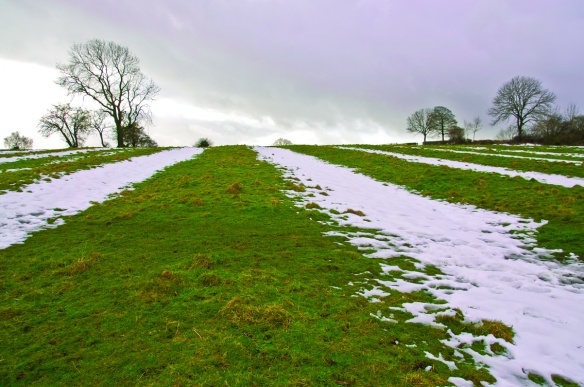 Ridge and Furrow field in Bonsall